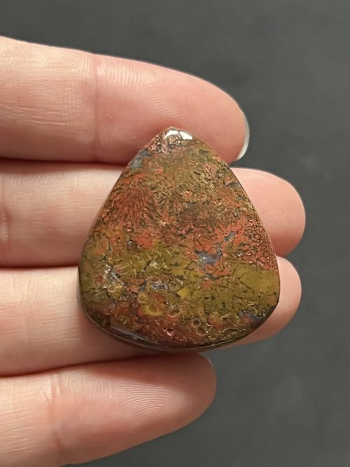 Stromatolite rouge n°3